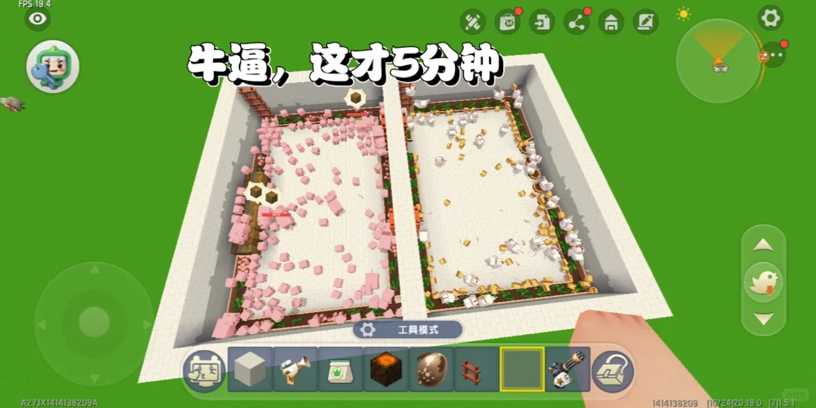ţ
