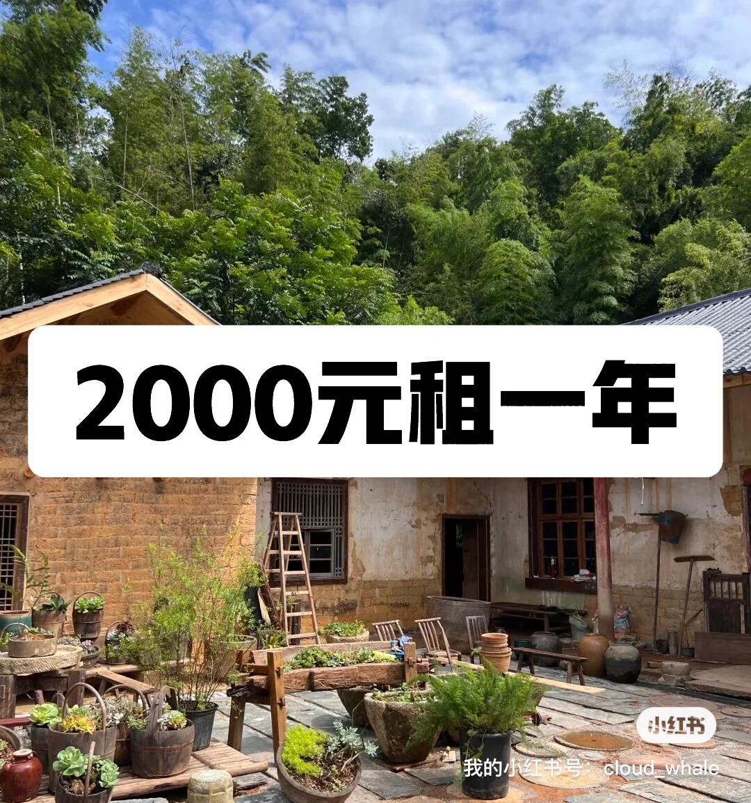 2000Ԫһ꣨