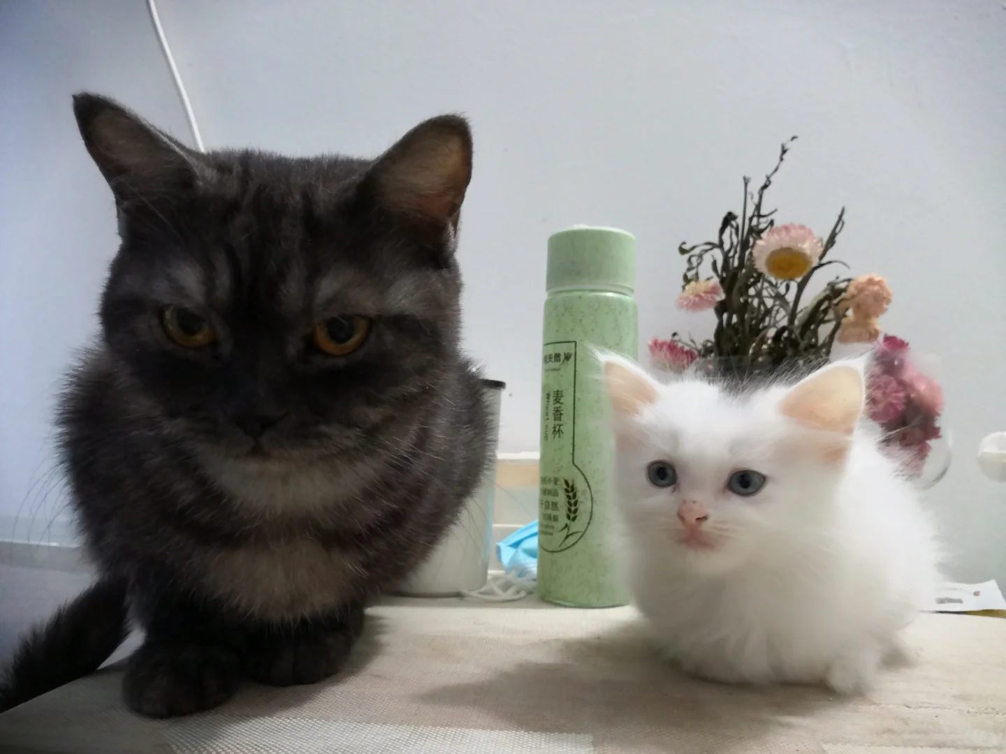 ҽѧôҽĺ׬Ǯ