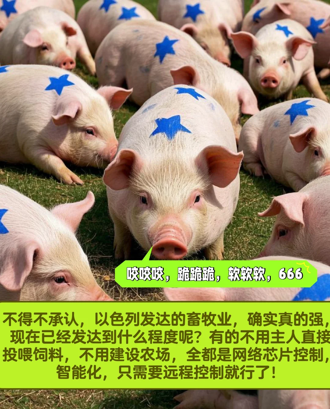 ɫеҵǿ