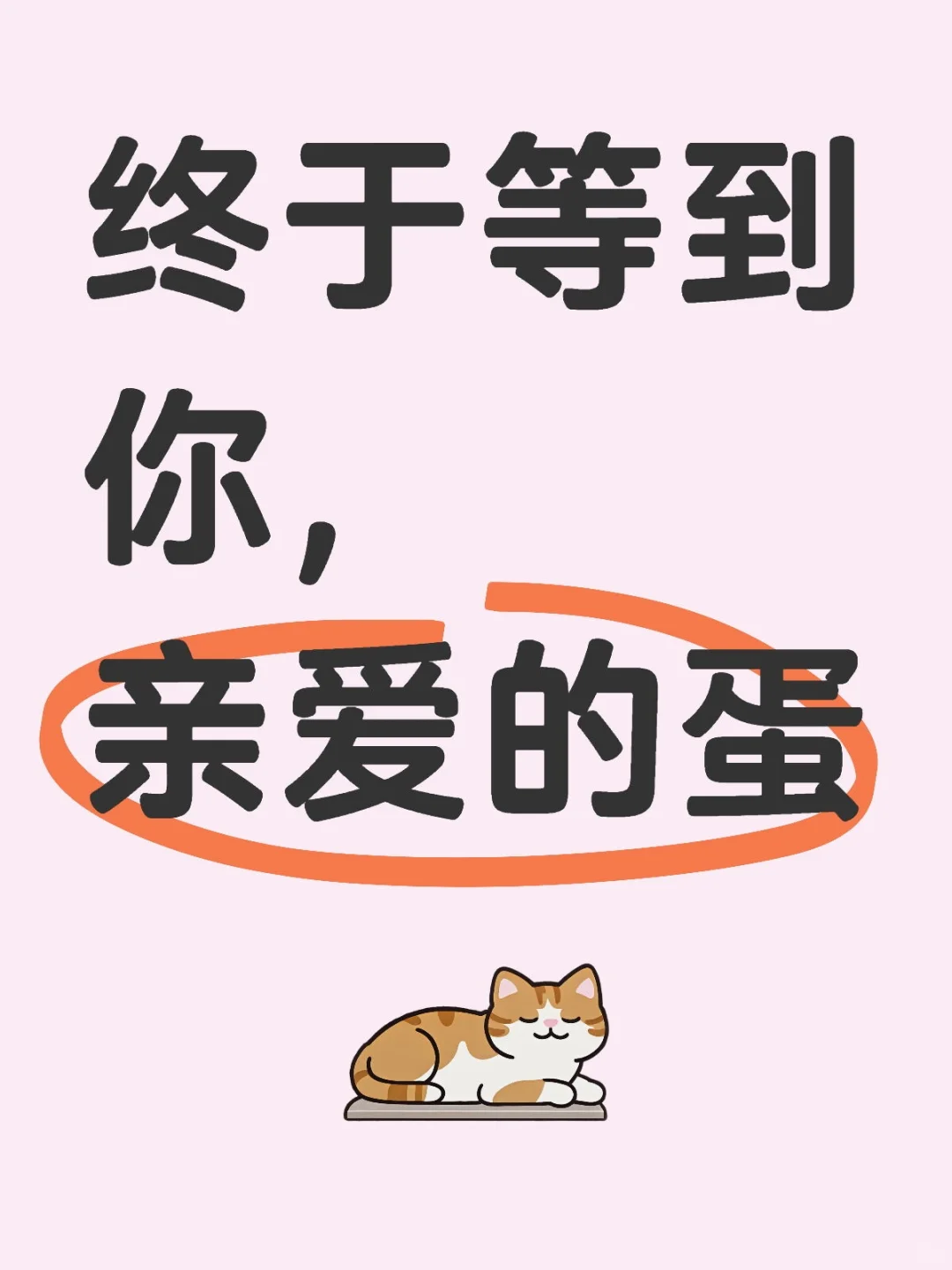 ֵڴ