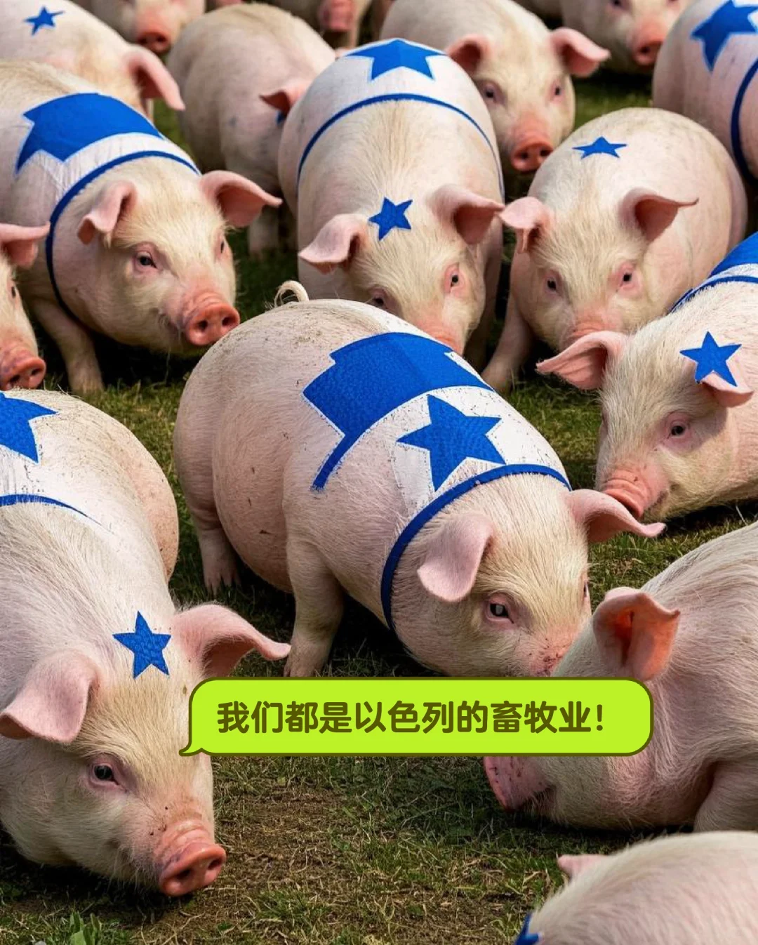 ɫеҵǿ