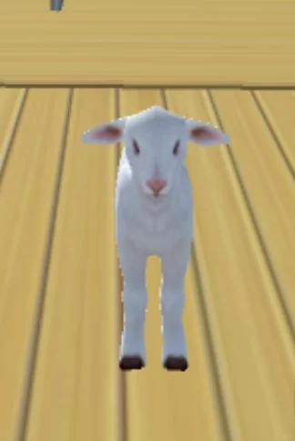 ̫ɰˣûסֻС