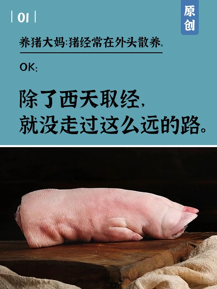 Ʒİ8仰8ٽ