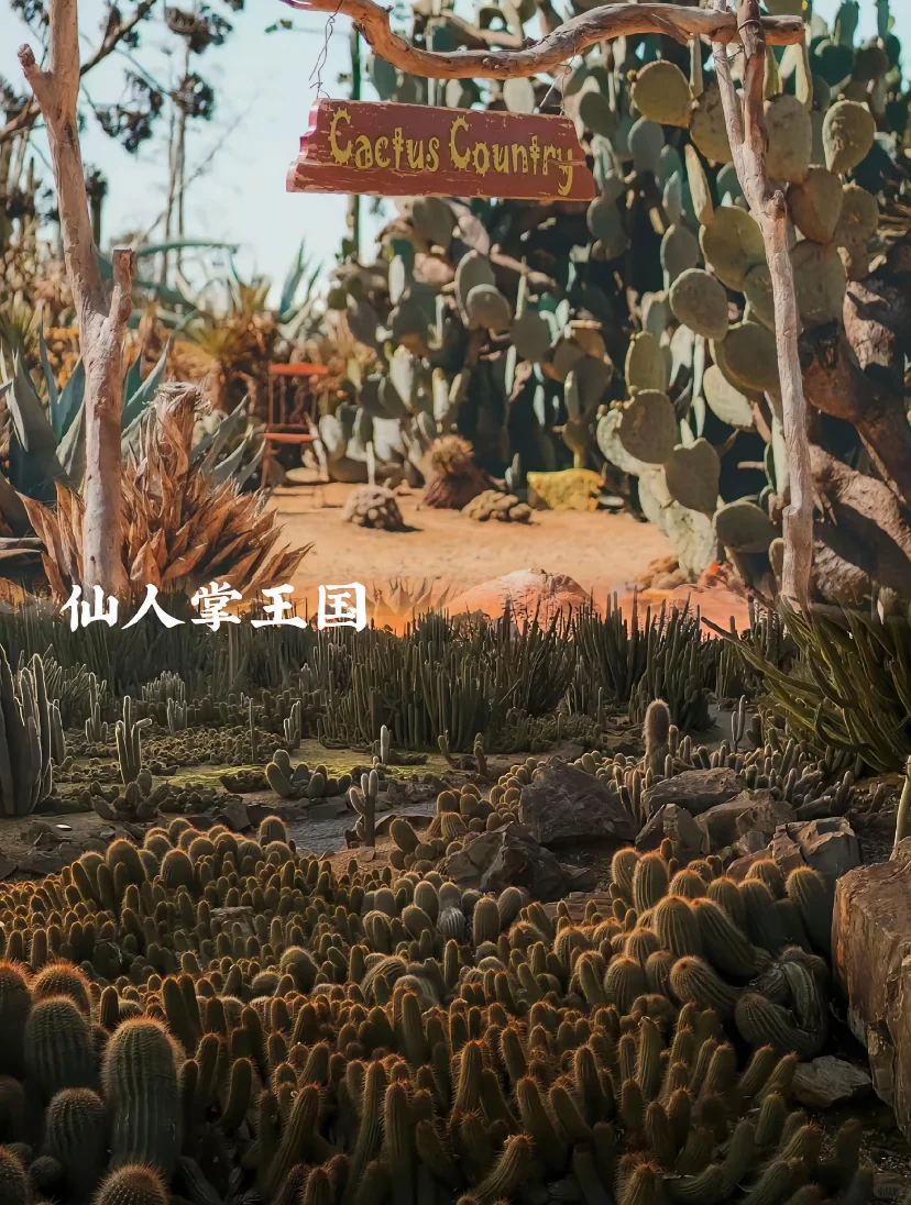 ϵĹҡĴǣ