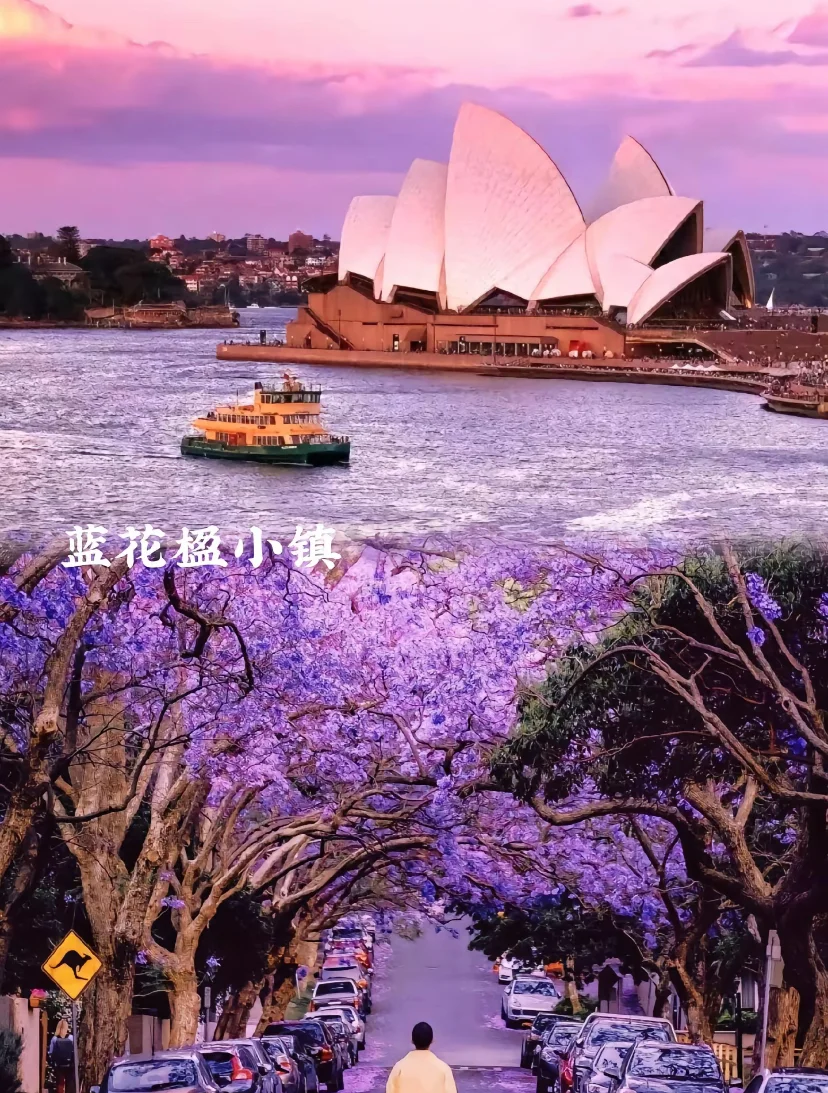 ϵĹҡĴǣ