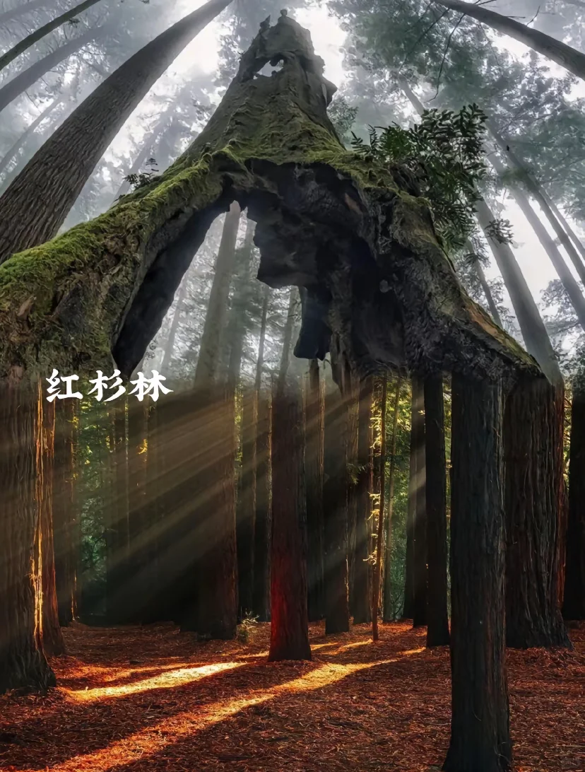 ϵĹҡĴǣ