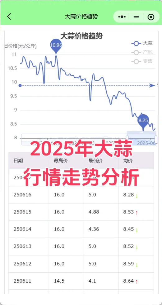 2025۸ƣΪγµ