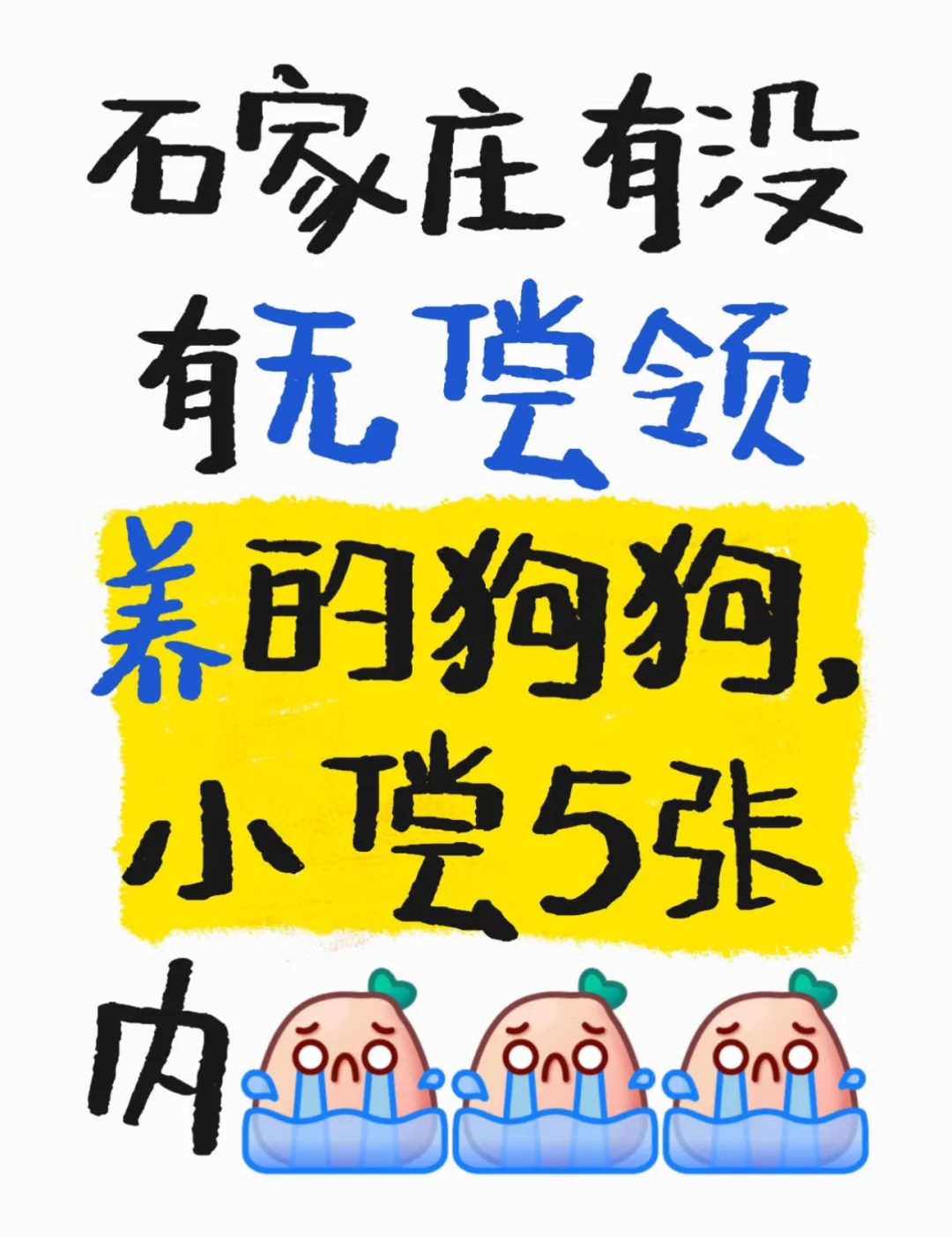 һֻС
