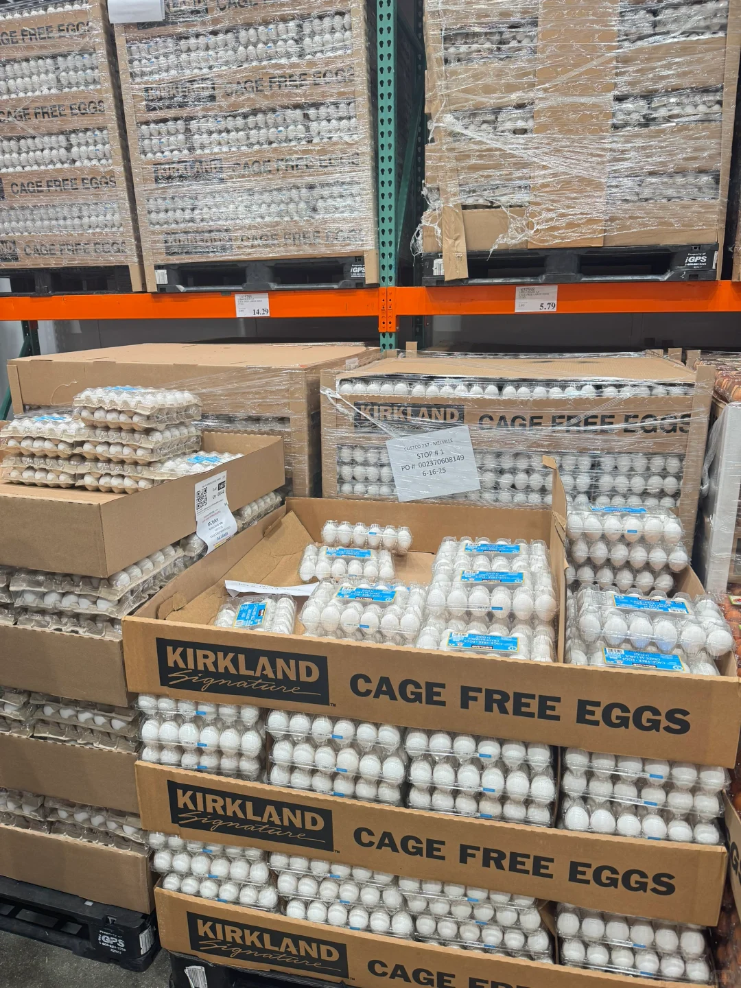 Costcoļ۸ڽ