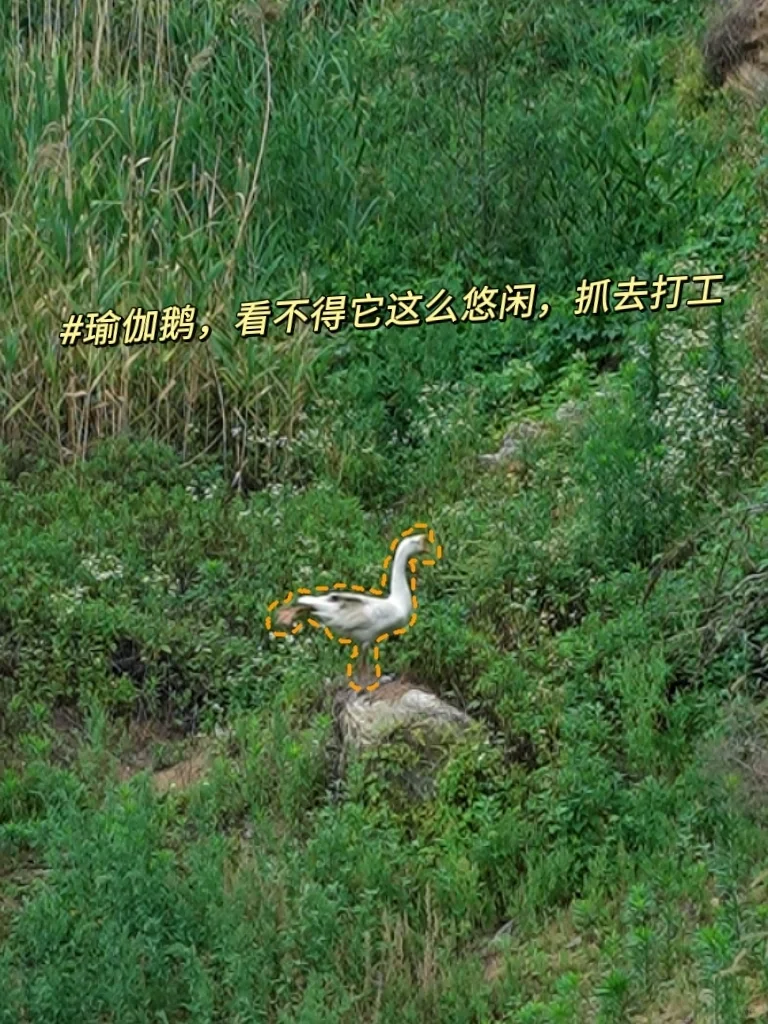 ΨһָӵԱ۱һ