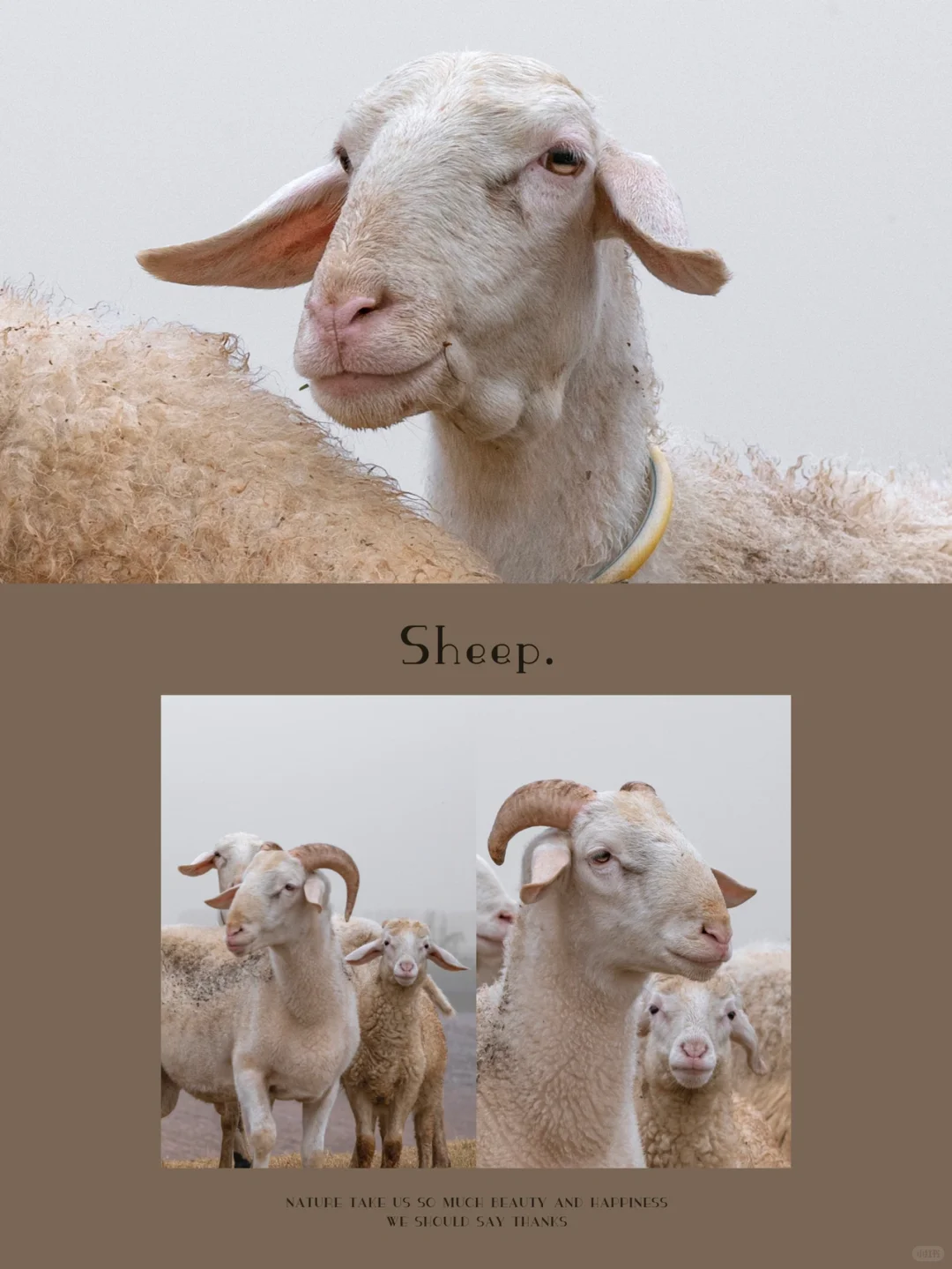 ӰŰÿɰȺϸ־?