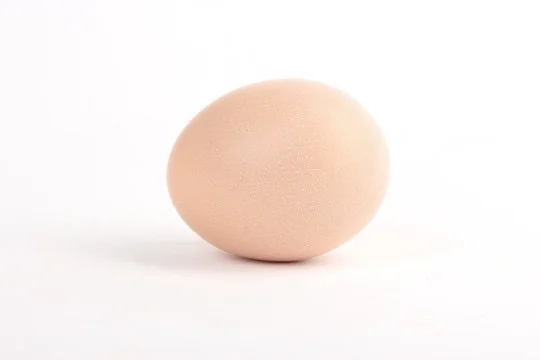 ŶȡһӼ
