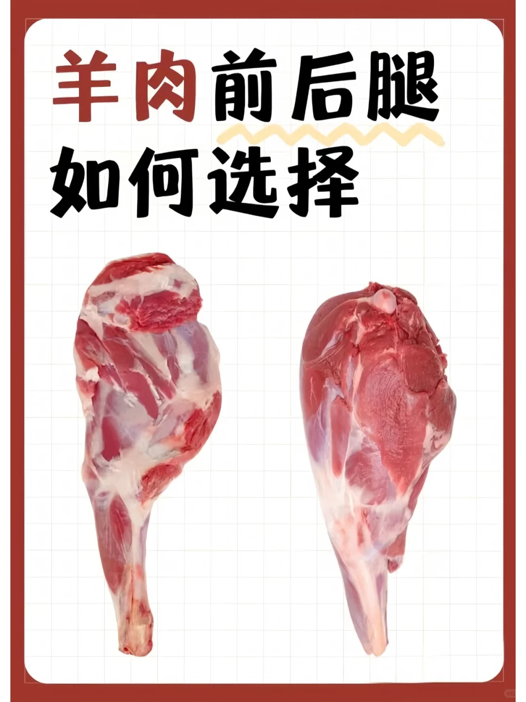 ǰȺͺ