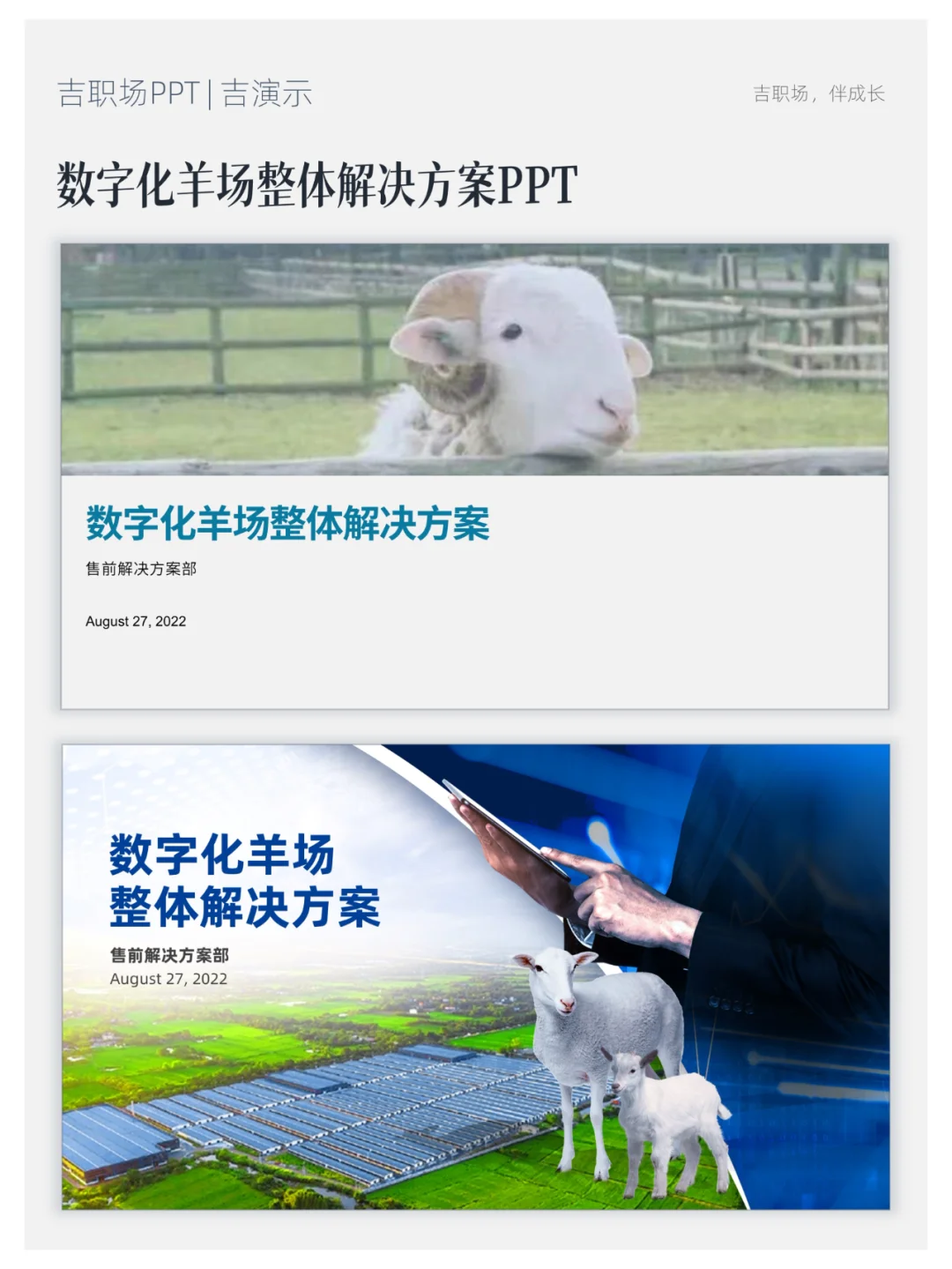 ֻPPTɴ״
