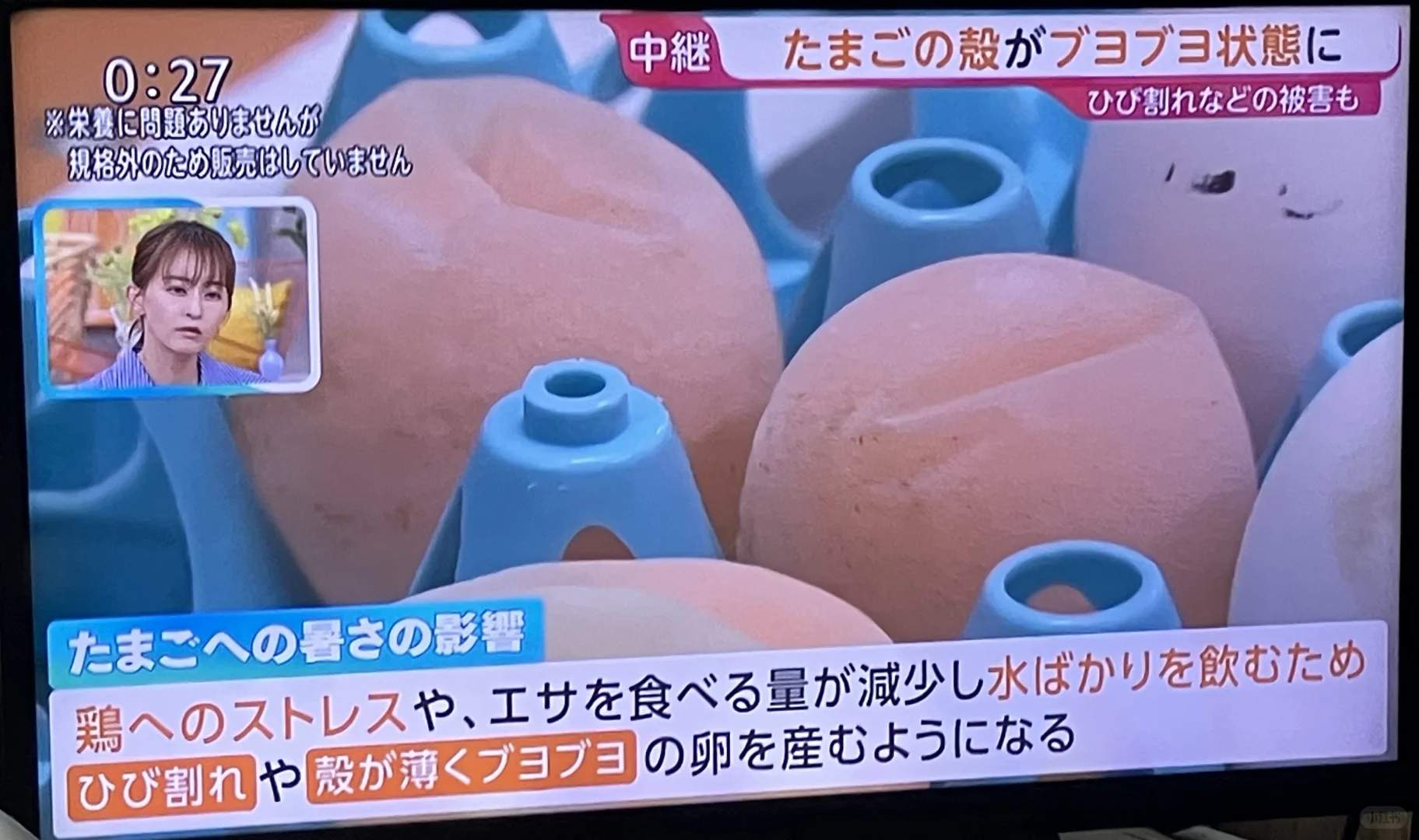 ??ȵ̶ˣ