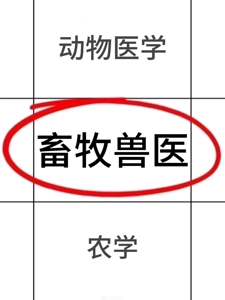 ??ҽרҵıһҪˢ