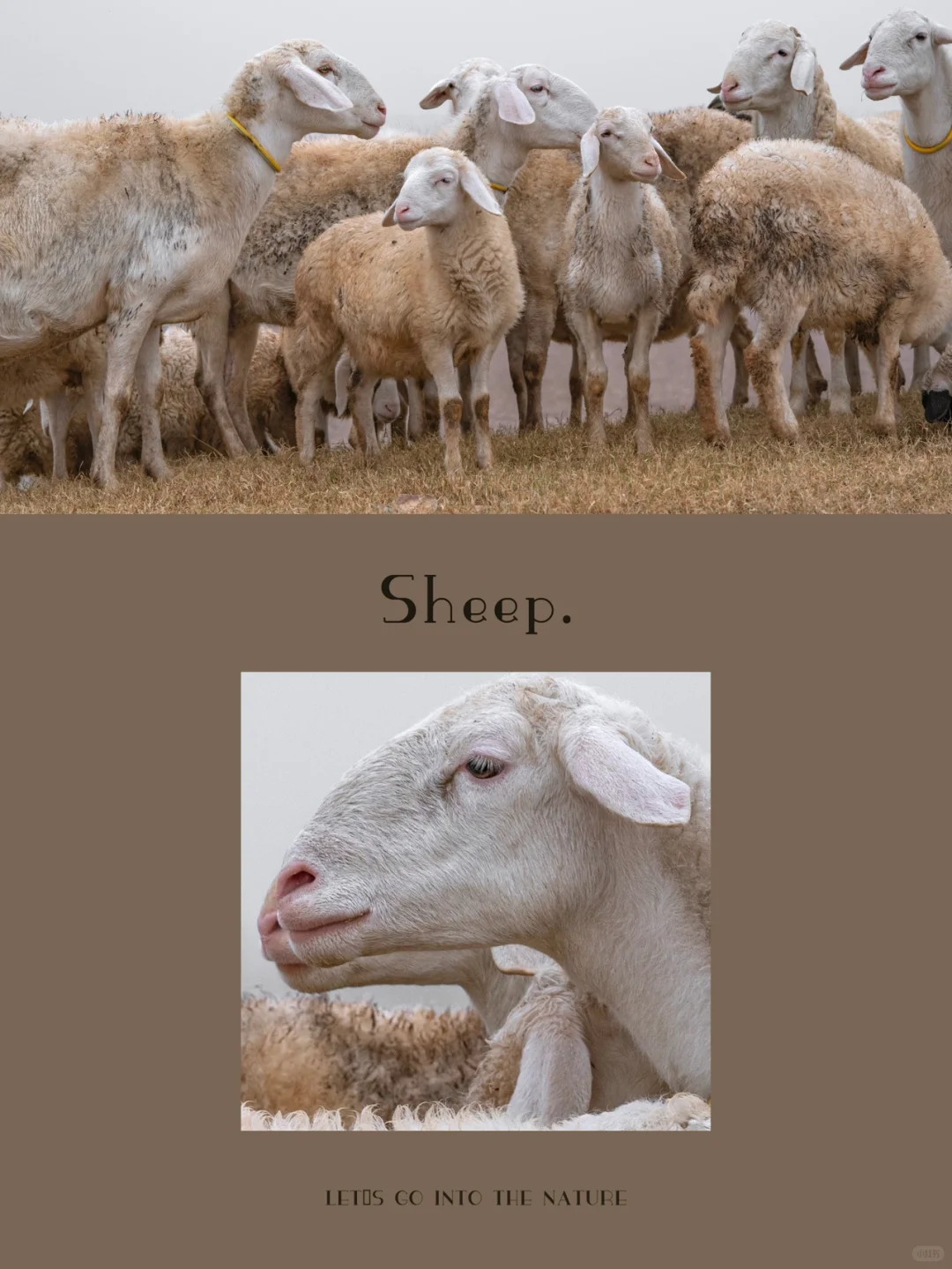 ӰŰÿɰȺϸ־?