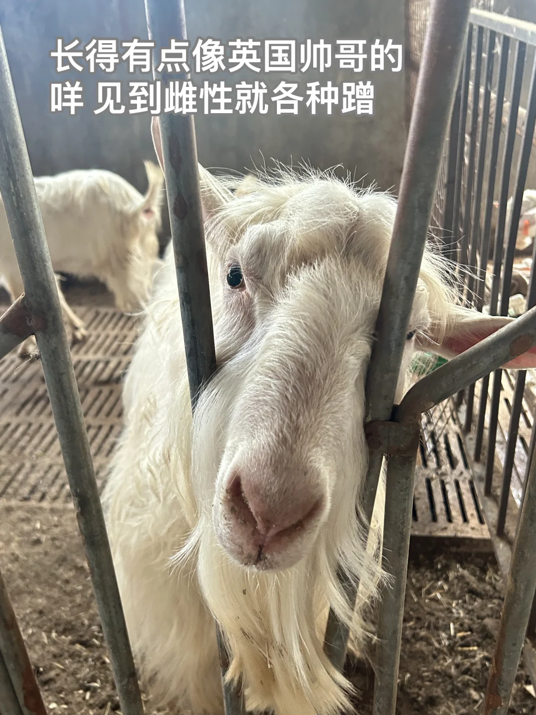 ˣ̵Щֵֹճ