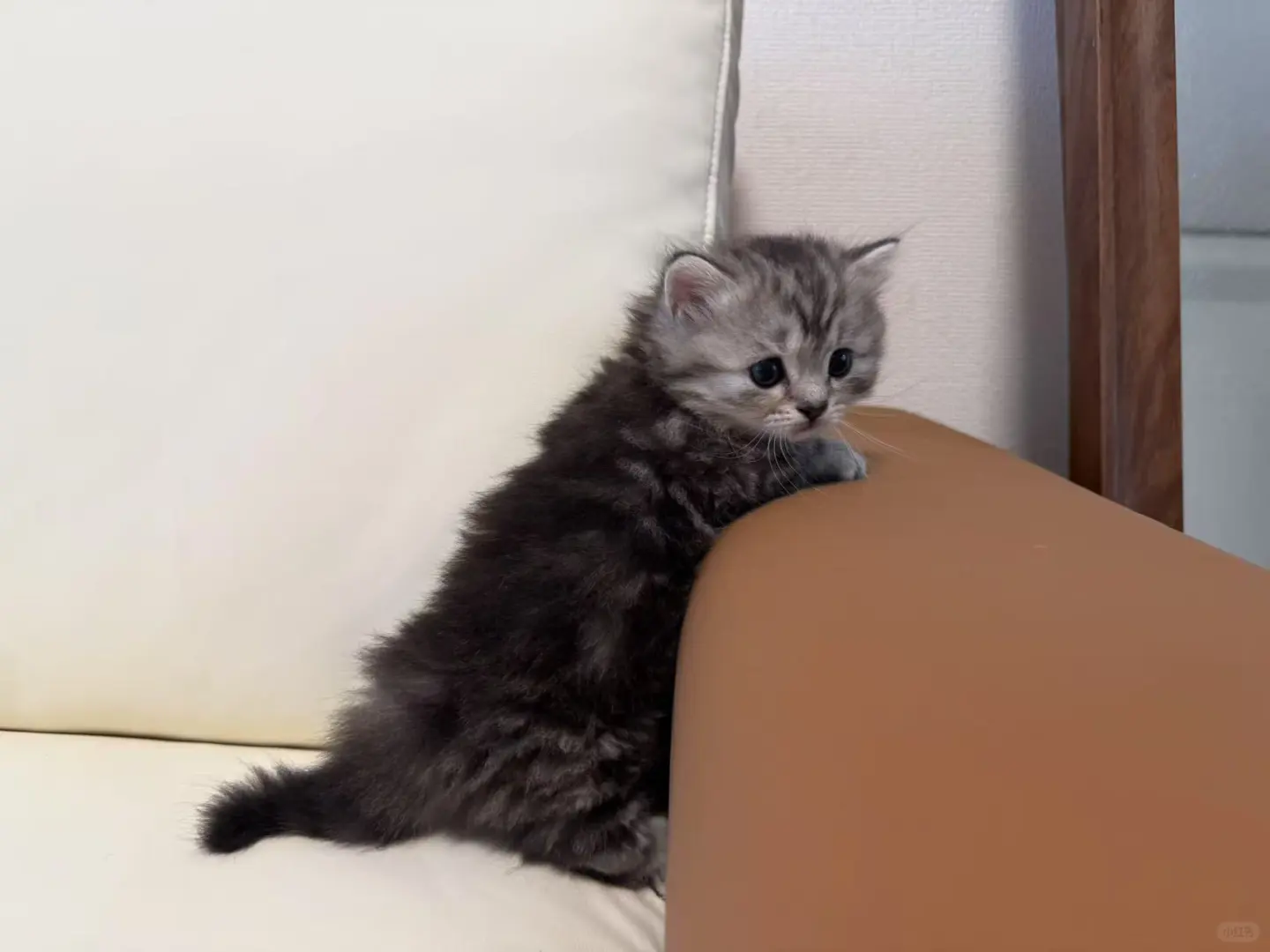 ҵèȥ˳꼸ʮ