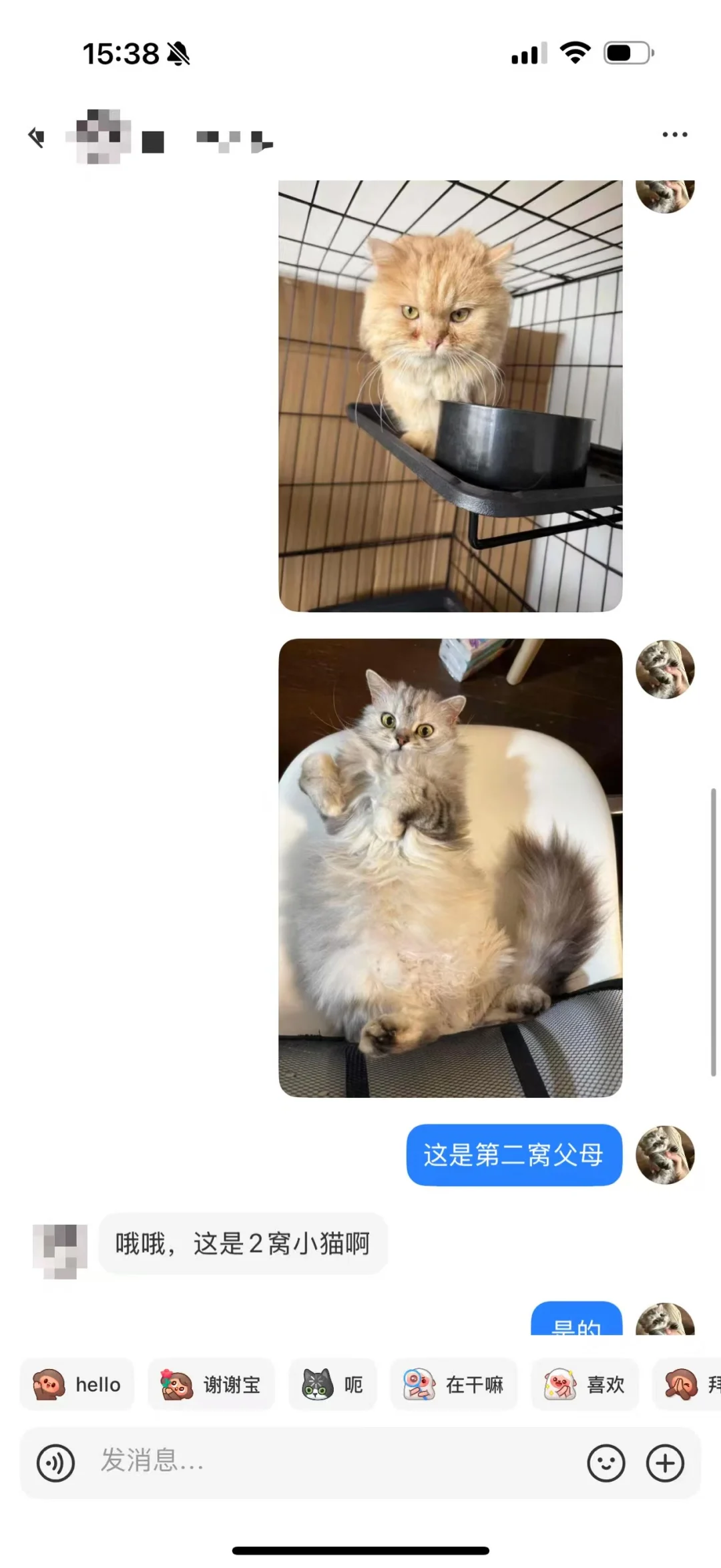 ҵèȥ˳꼸ʮ