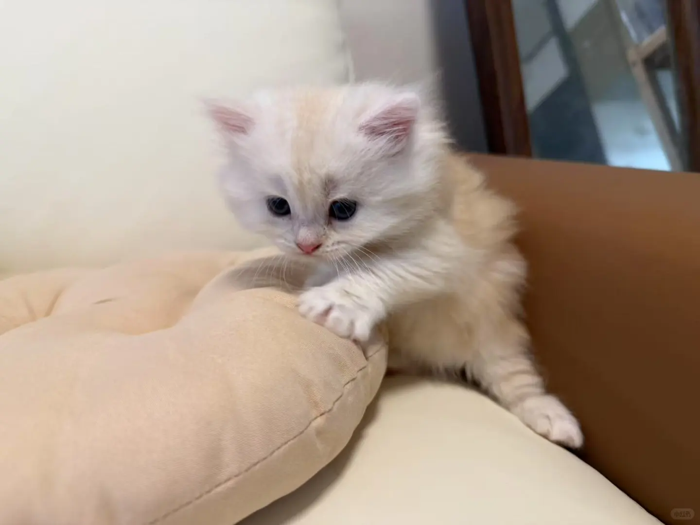 ҵèȥ˳꼸ʮ