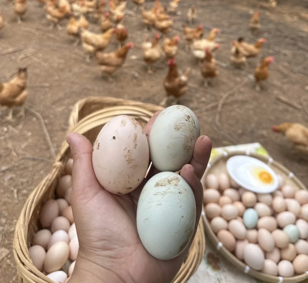 ڵũʳ???
