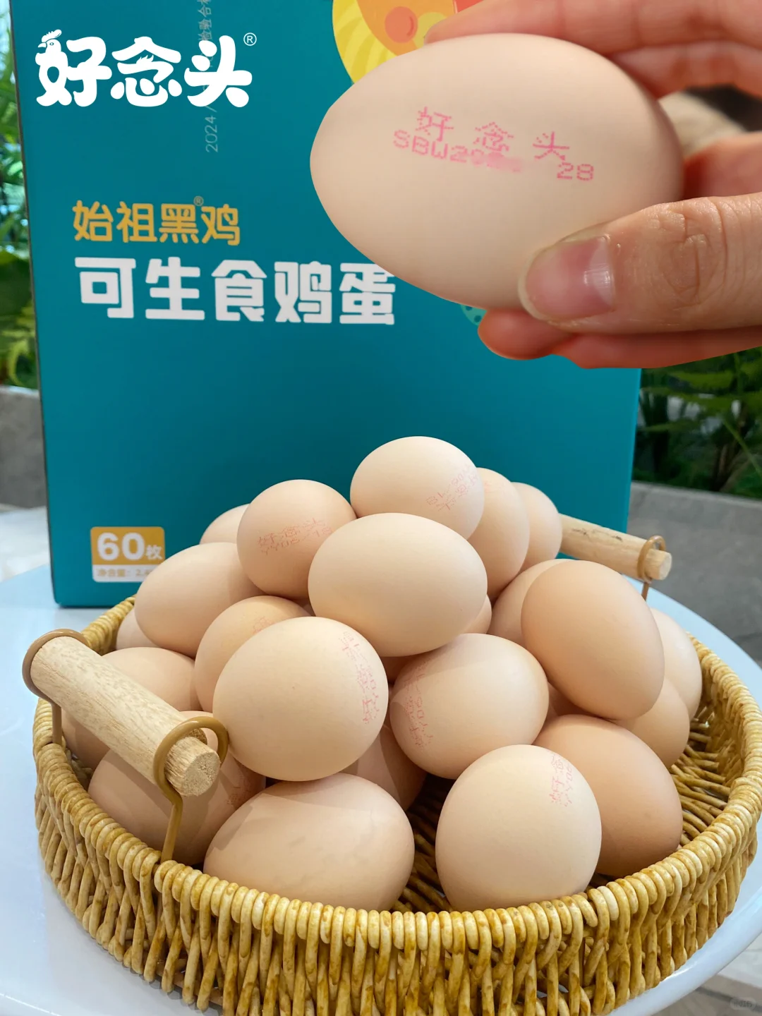 Ⲩţ?ʳڼ̫Ż??