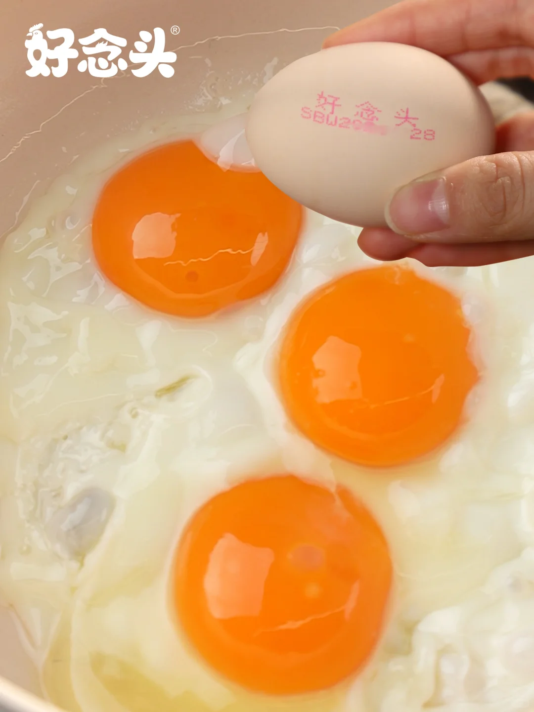 Ⲩţ?ʳڼ̫Ż??