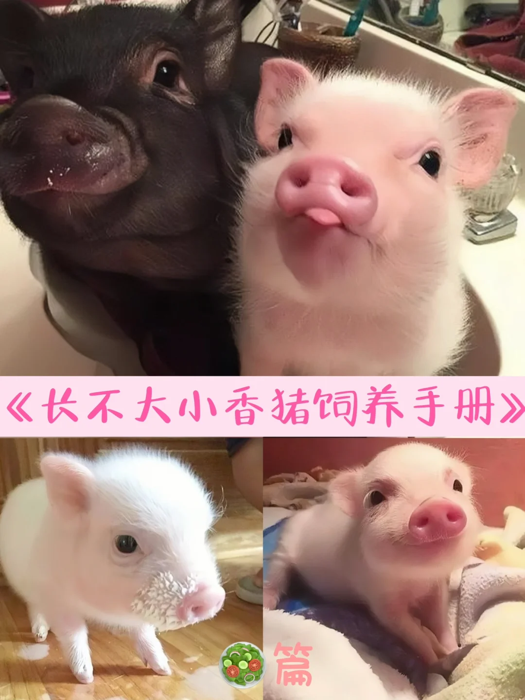 ?Сֲᣨ鱨棩?