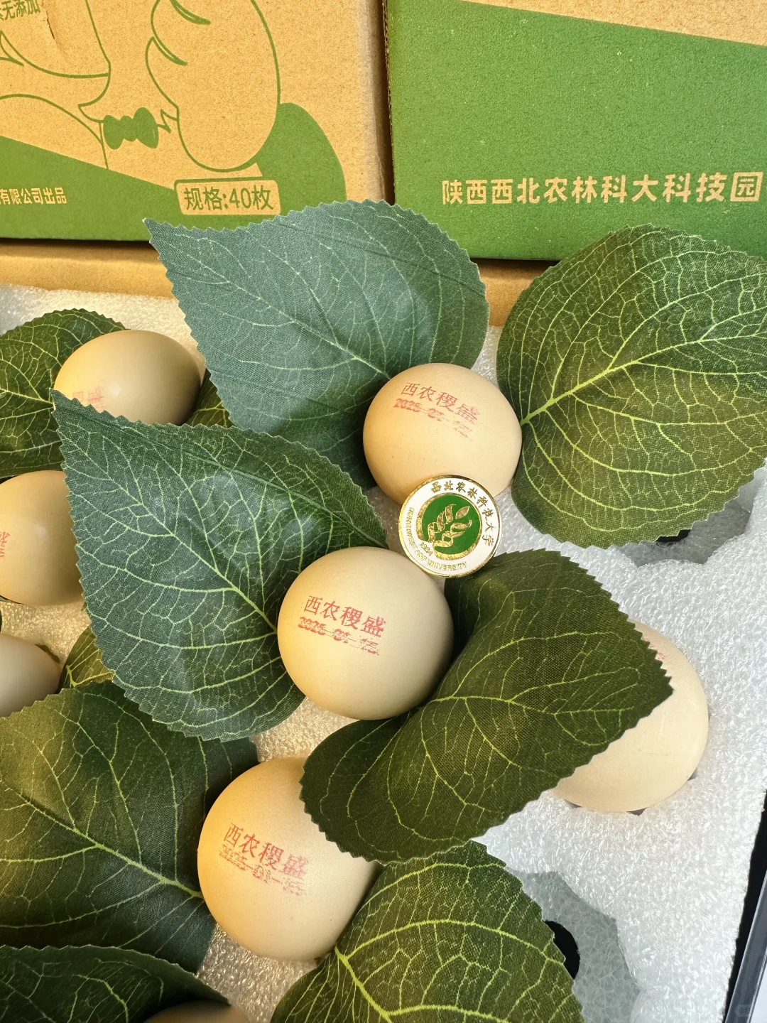 不到40r!实现可生食杜仲鸡蛋自由,香迷糊了
