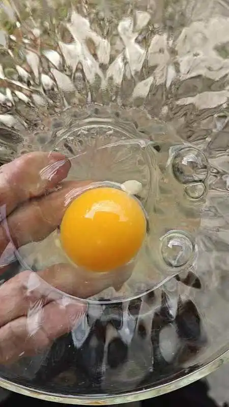 1Ԫһ8µײ