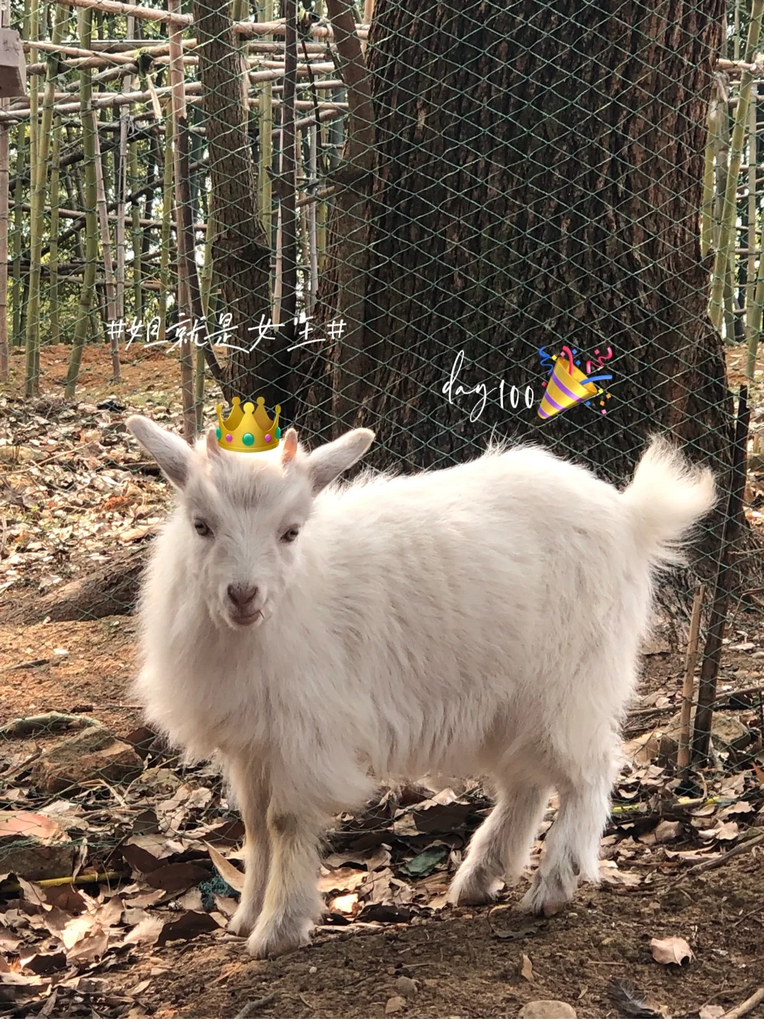 ٱС