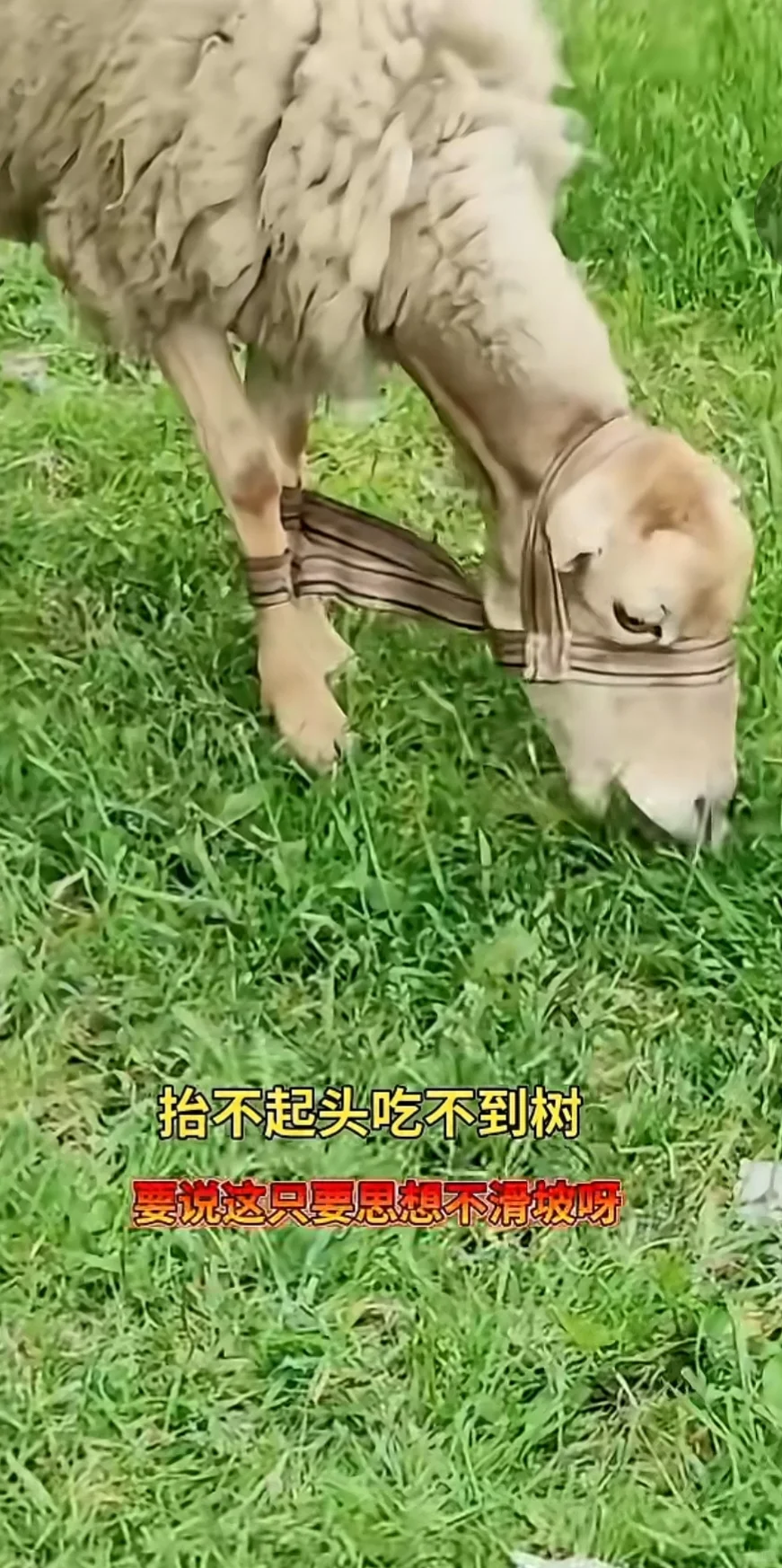 ?