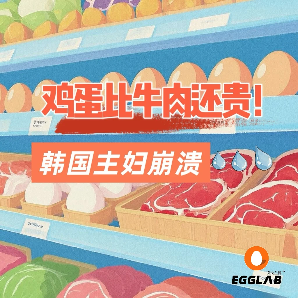 ?ţ⻹??