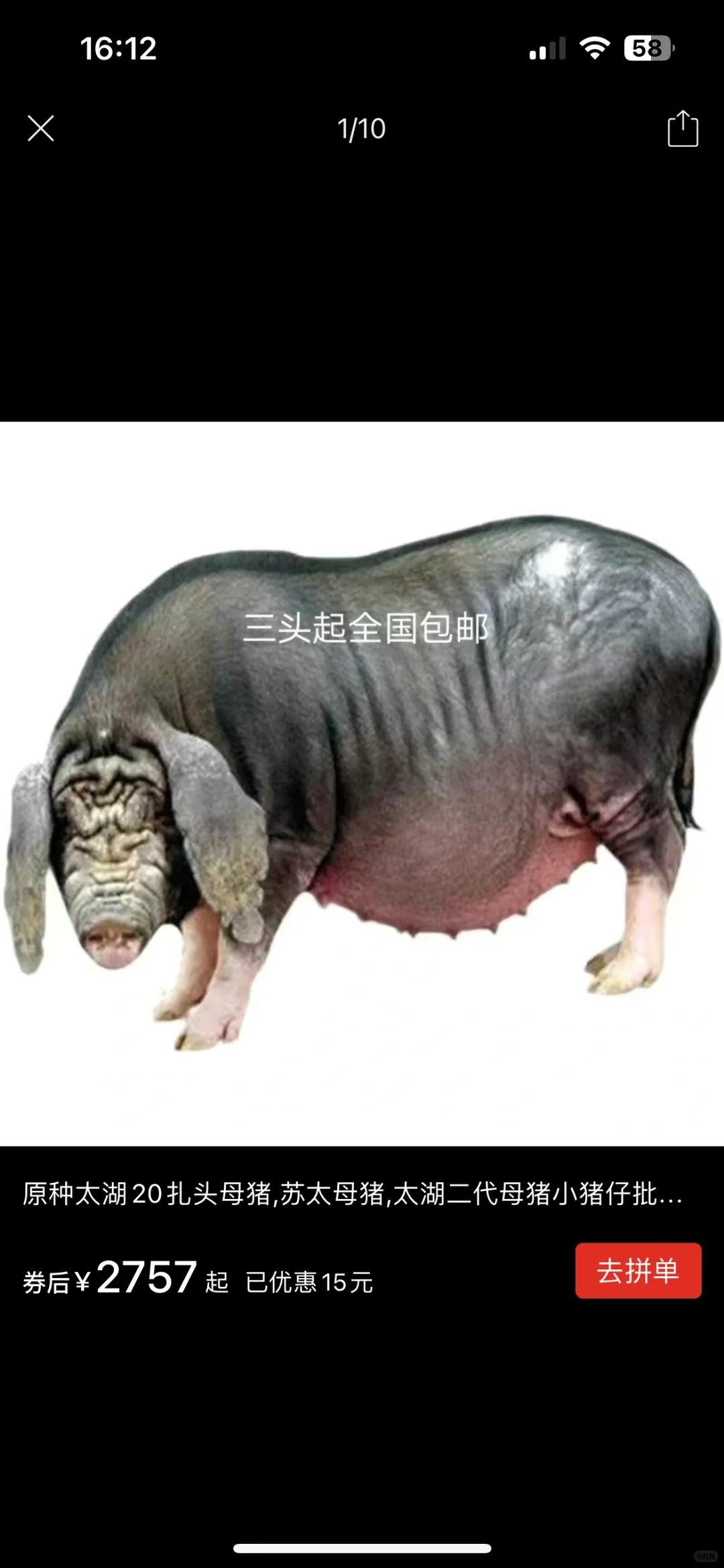 pddƴ