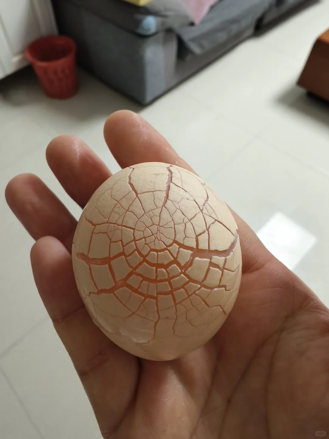 ⼦զ