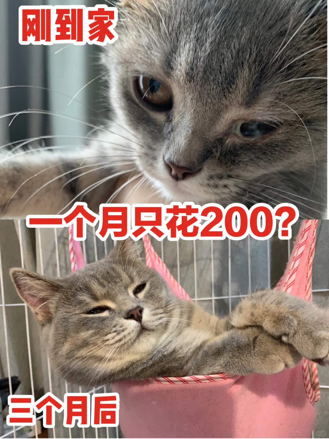 ѧ?һ¿٣200Ư