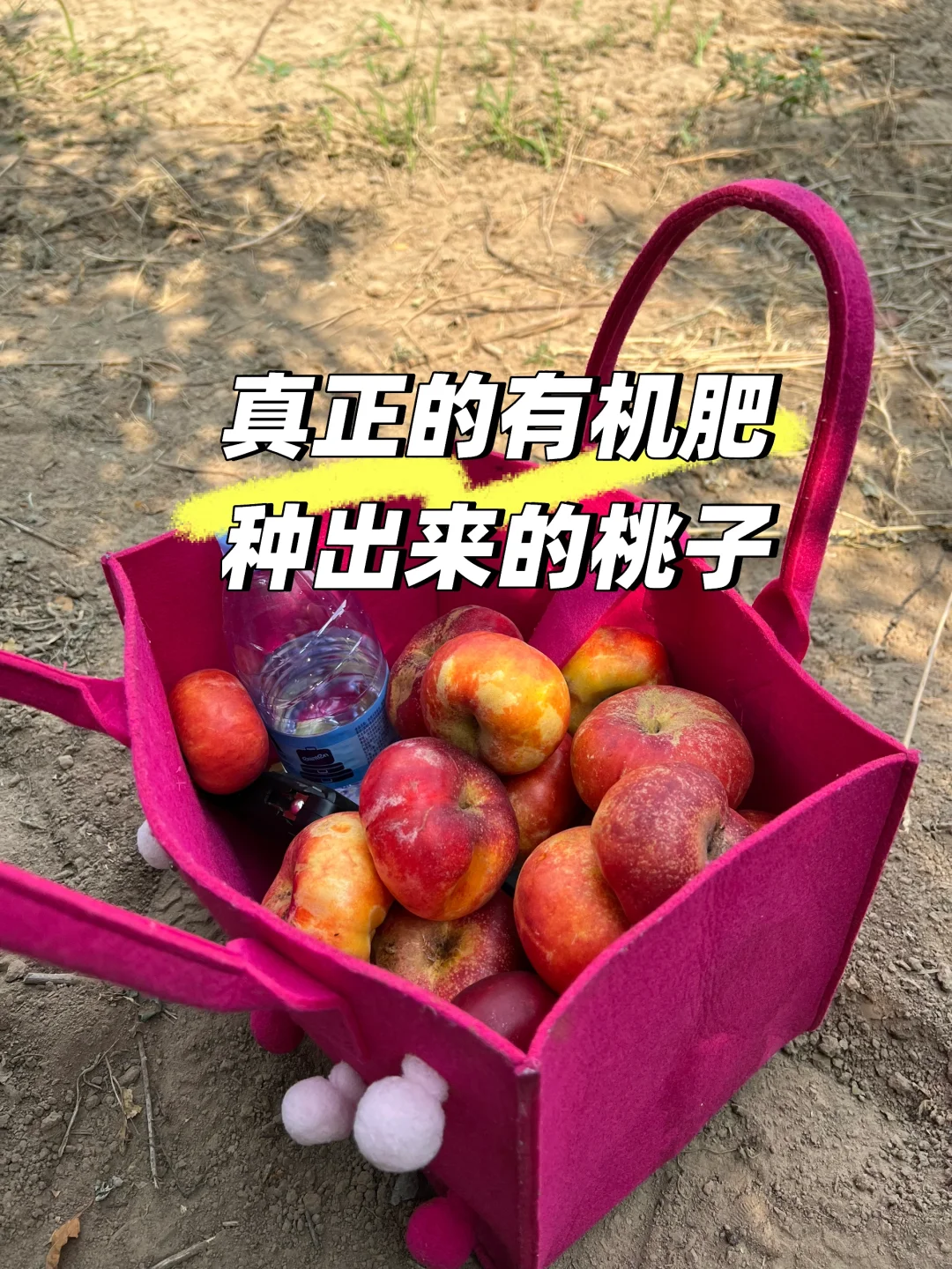 ʯׯ/ũҾ޺ó