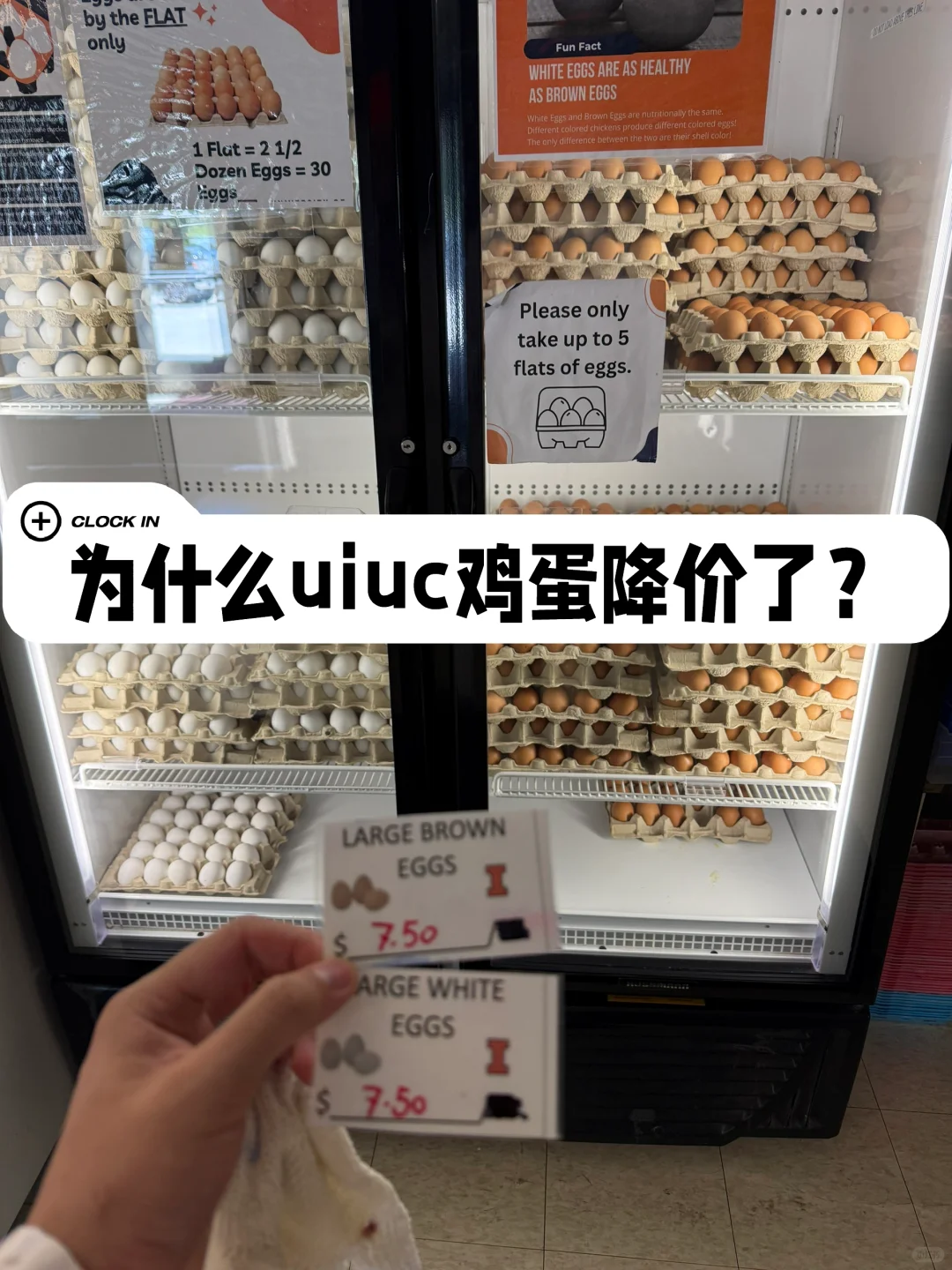 ΪʲôǼͻȻۣˣ