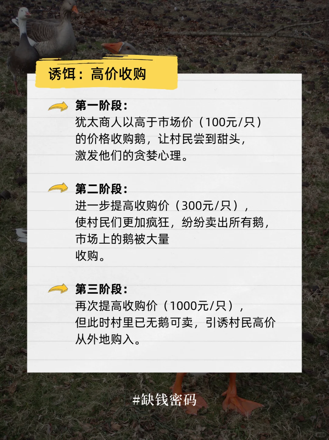 ̫ˡ족ǣԣԶ壡