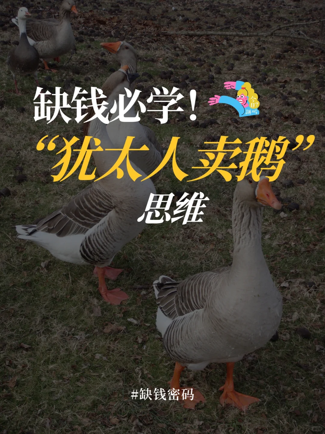 ̫ˡ족ǣԣԶ壡