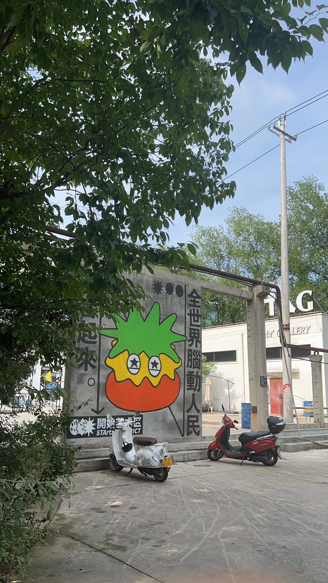 ȥݲ治?