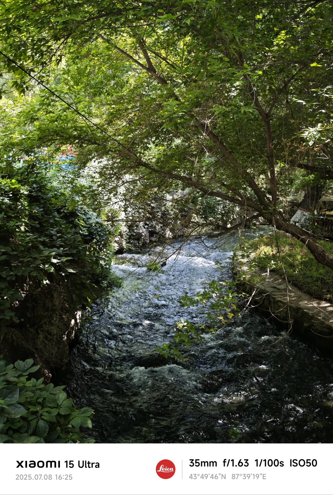 Դ|½³ľ