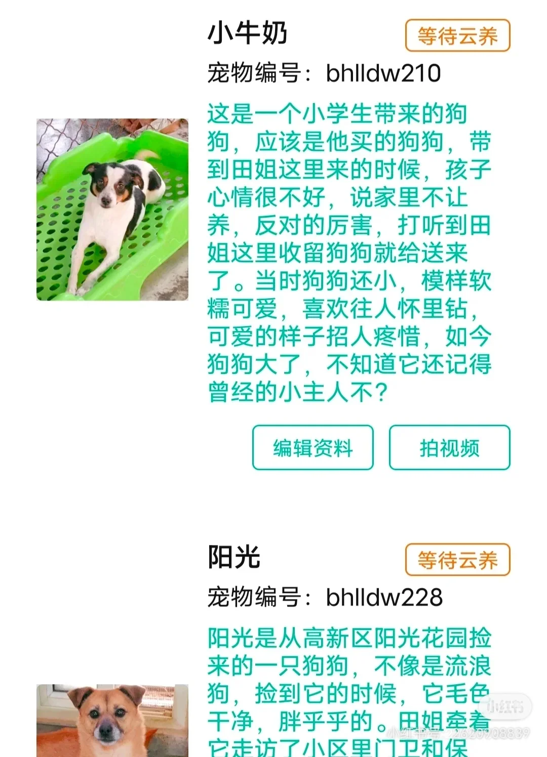 һֻɰ˹ɡ