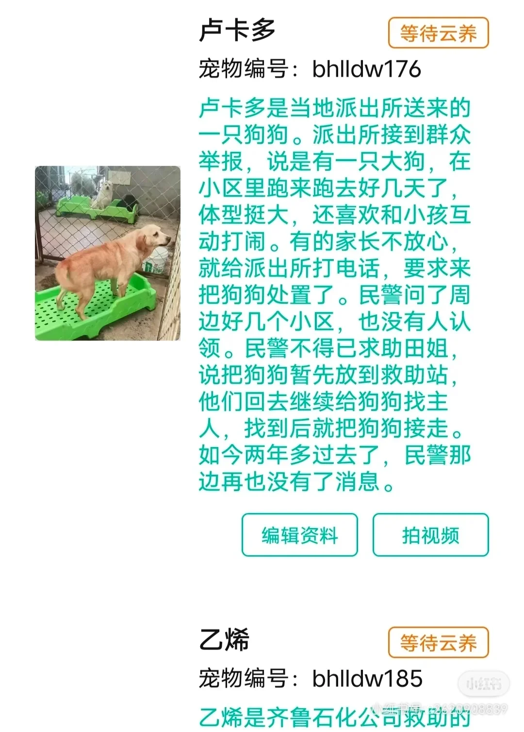 һֻɰ˹ɡ