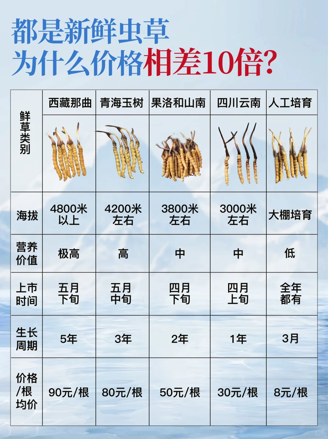 vsײ˼??ʳݼ۸10