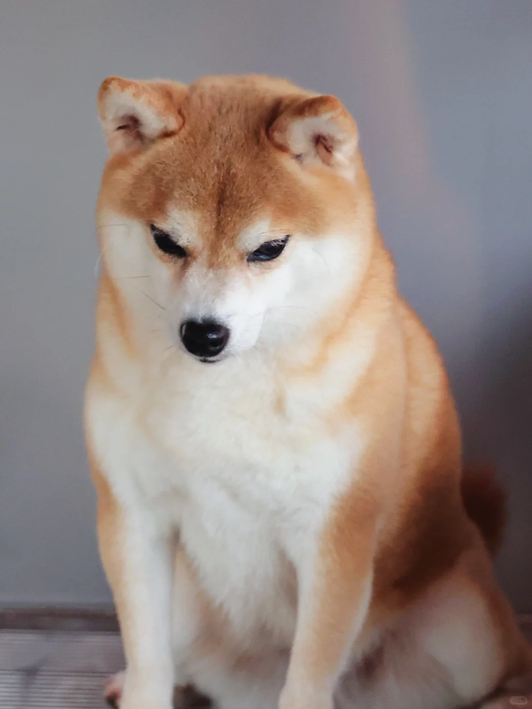 뿪ȮһЩ