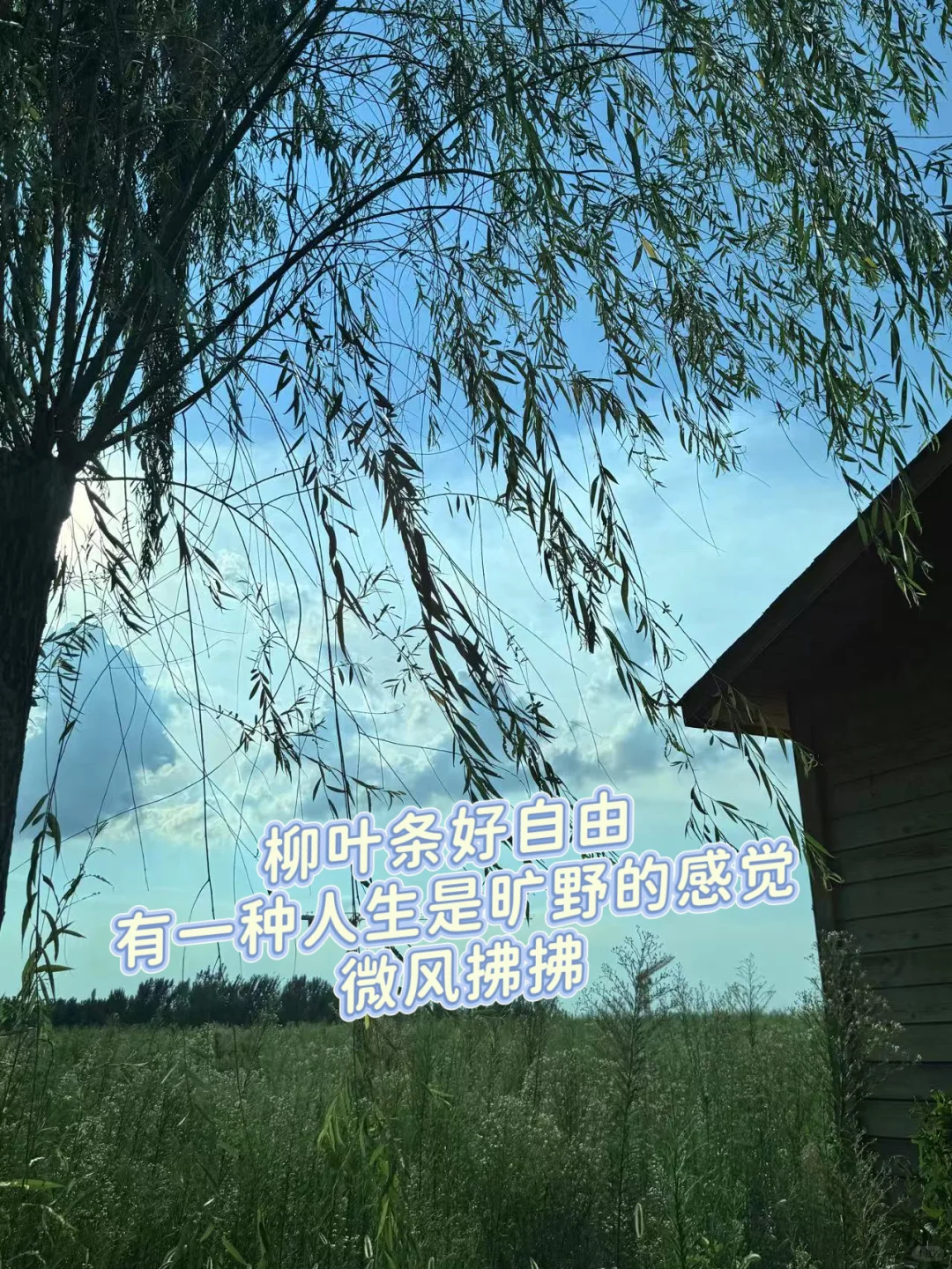 ѧ´plogɹŵؾ?