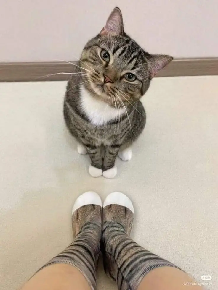 18õƬ꿪һ
